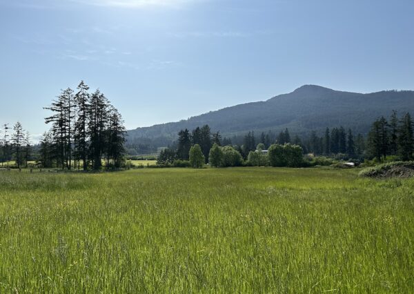 Building site acreage in Duncan