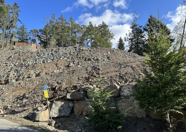 Hilltop build site in Shawnigan Lake