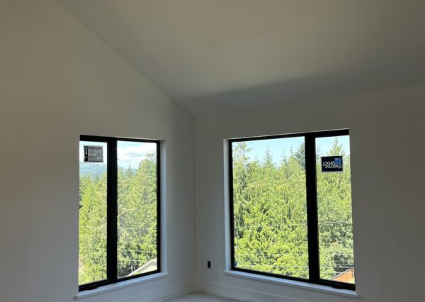 Large black framed windows in custom home with view